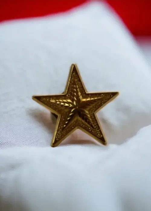 Gold Star Lapel Pin