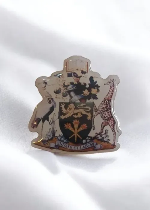 University of Nairobi Lapel Pin - Dome